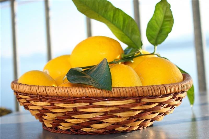 Apartmánový dům Zoran