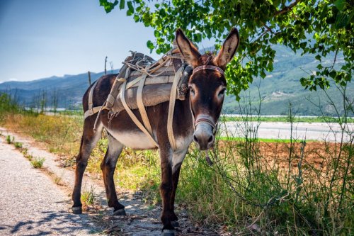 Pěšky jižní Albánií