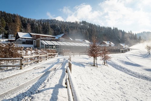 Wellness Hotel Horal