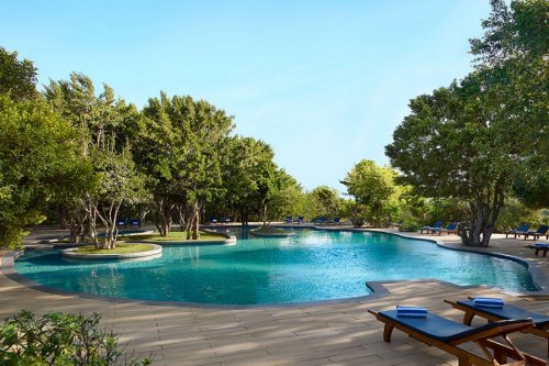 CINNAMON WILD YALA 5