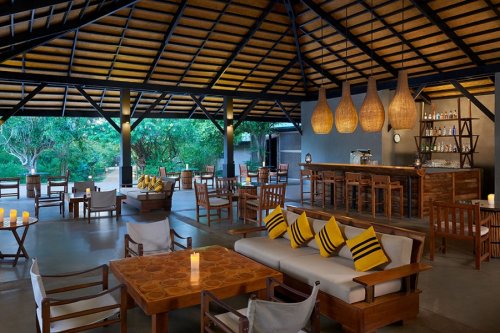 CINNAMON WILD YALA 5