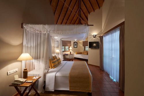 CINNAMON WILD YALA 5