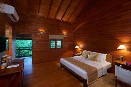 CINNAMON WILD YALA 5