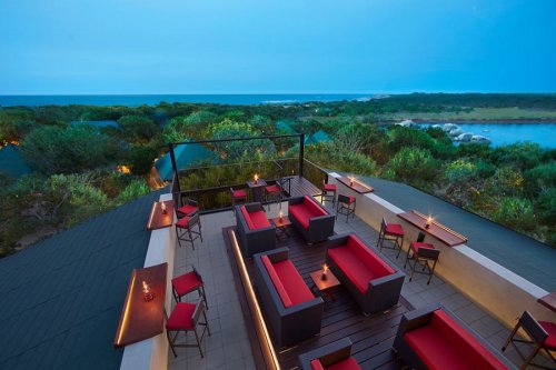 CINNAMON WILD YALA 5