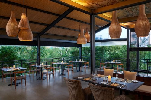 CINNAMON WILD YALA 5