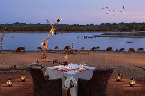 CINNAMON WILD YALA 5