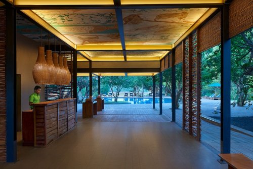 CINNAMON WILD YALA 5