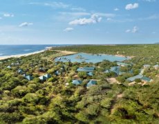 CINNAMON WILD YALA 5