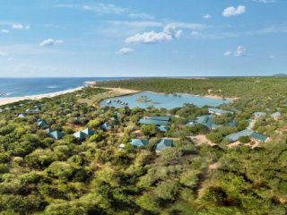 CINNAMON WILD YALA 5 CINNAMON WILD YALA 5