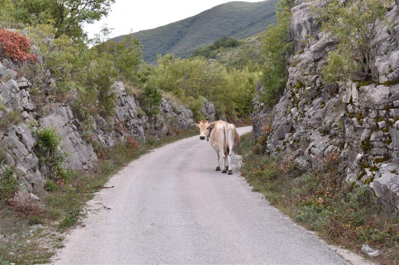 Ze Sarajeva do Dubrovníku – dálková cyklotrasa CIRO