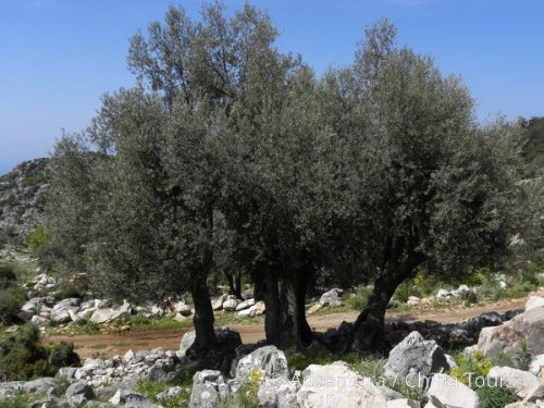 Toulky tureckým Středomořím