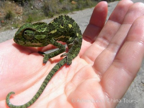 Toulky tureckým Středomořím