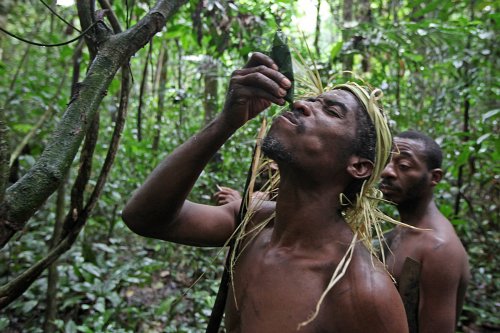 Rovníková Afrika jednou za života