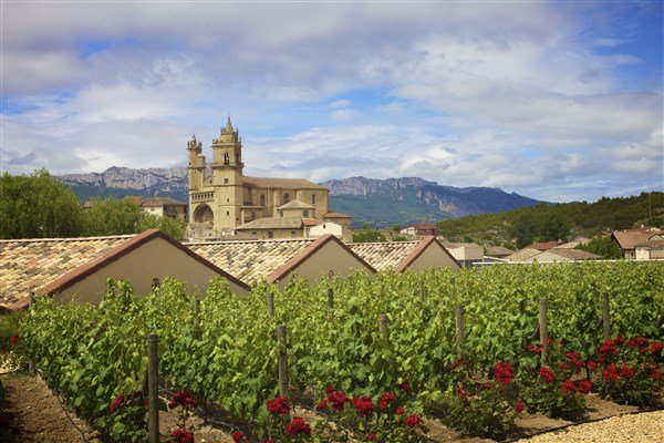 Baskicko a La Rioja - mezi útesy a vinicemi