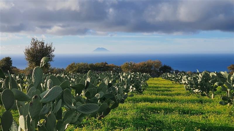 Kalábrie všemi smysly