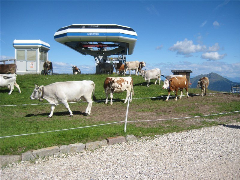 Dolomity a jižní Tyrolsko - dobrodružství v srdci přírody