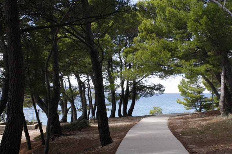 Apartmánový dům Nikolina/Růža