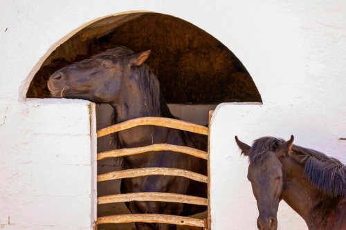 Nejkrásnější pláže Menorcy