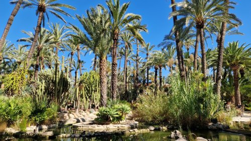 Krásy Andalusie, Elche, Caravaca de la Cruz - letecky