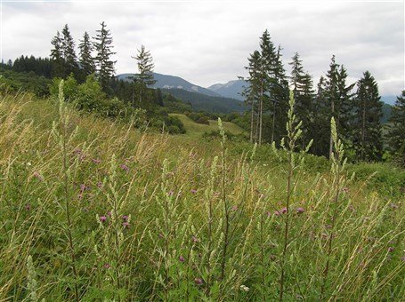 Východní Slovensko, národní parky a památky UNESCO
