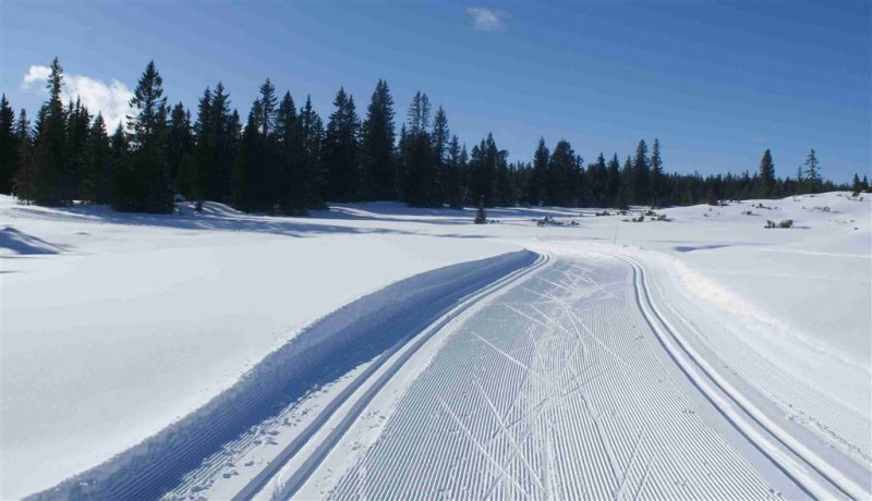 Toulky zimním Norskem na sněžnicích ve středisku Sjusjoen a Holmenkollen