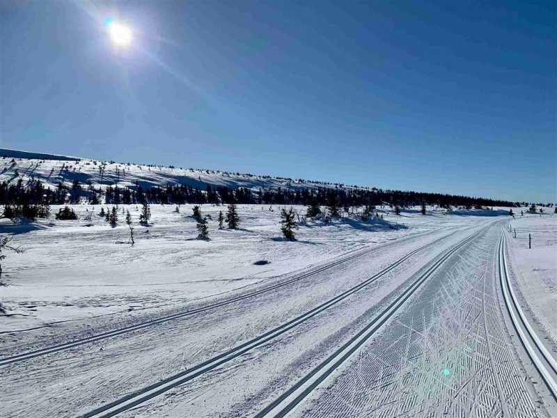 Toulky zimním Norskem na sněžnicích ve středisku Sjusjoen a Holmenkollen