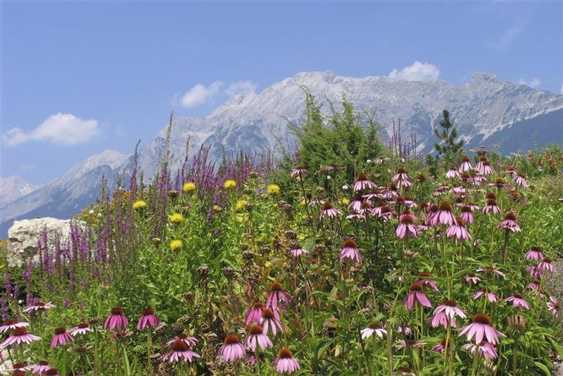 Rakousko – Ybbstalské Alpy