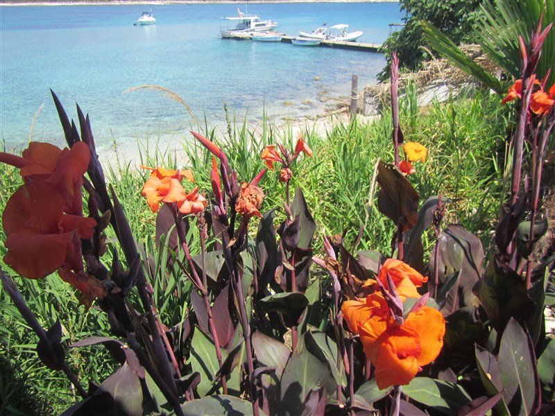 Premantura - Kemp Stupice