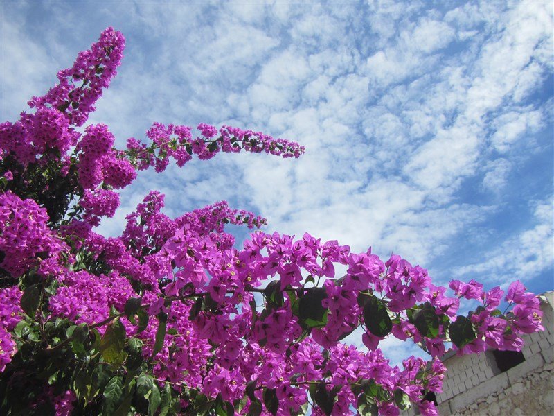 Premantura - Kemp Stupice