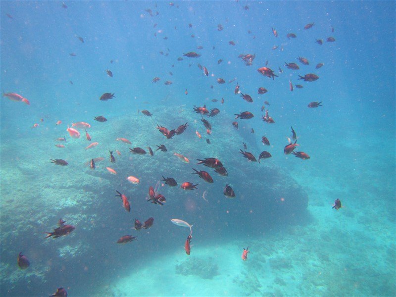 Premantura - Kemp Stupice