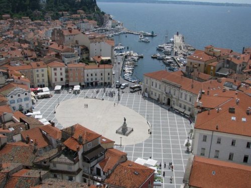 Ze slovinského Toskánska k vinicím u Jadranu