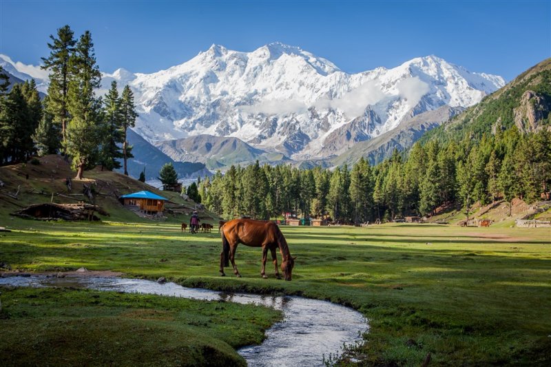 Pákistán - Pohodový Karákóram s turistikou pod Nanga Parbat a plnou penzí