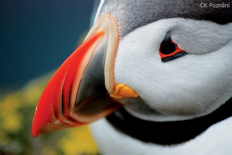 Island - Nejznámější místa Islandu