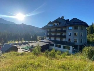 Al Gallo Forcello Al Gallo Forcello