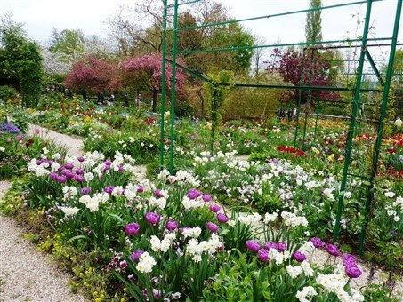 Normandie a Alabastrové pobřeží letecky