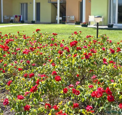 Residence Oasi - Spiaggia Romea