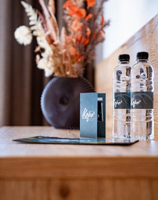 Hotel Grmovškov dom se skipasem