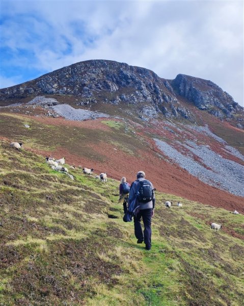 Irsko - Výšlapy na tři vrcholy Donegalu, divoká krása krajiny a bohatství památek z irské historie