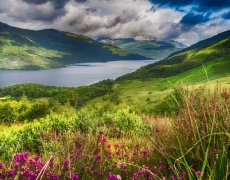 Velká Británie, Skotsko - Ostrovy skotské whisky