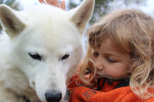 LAPONSKO NA KONCI LÉTA