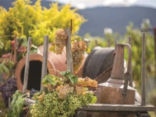 Gruzie - magická krása a kolébka vína Gruzie - magická krása a kolébka vína