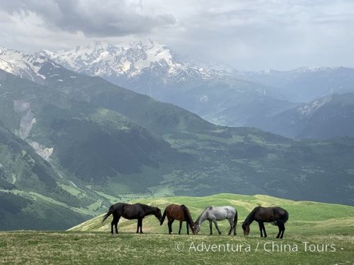 Gruzie – Svanetie na kole