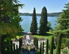 Bodamsé jezero, Rýnské Vodopády