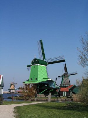 Rozkvetlé Holandsko, země mlýnů, dřeváků a sýrů