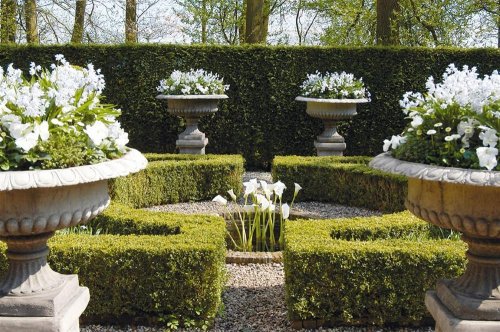 Rozkvetlé Holandsko, země mlýnů, dřeváků a sýrů