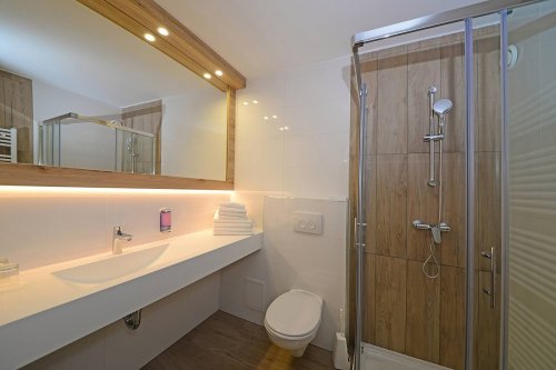 Hotel Alpina se skipasem