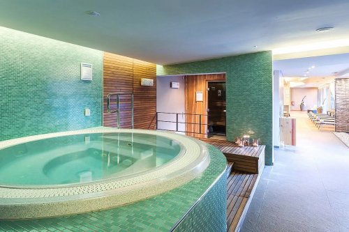 Hotel Alpina se skipasem