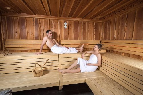 Hotel Alpina se skipasem