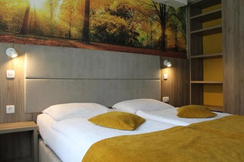 Hotel Alpina se skipasem