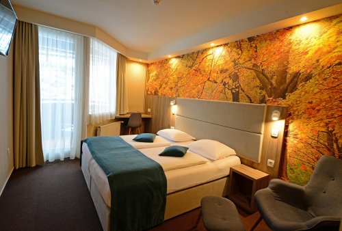 Hotel Alpina se skipasem